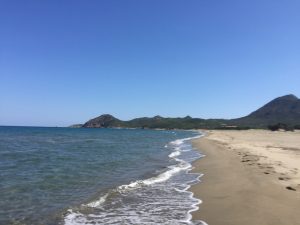 img_4335