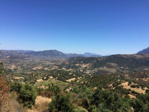 img_6996