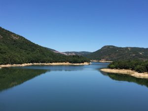 img_7003